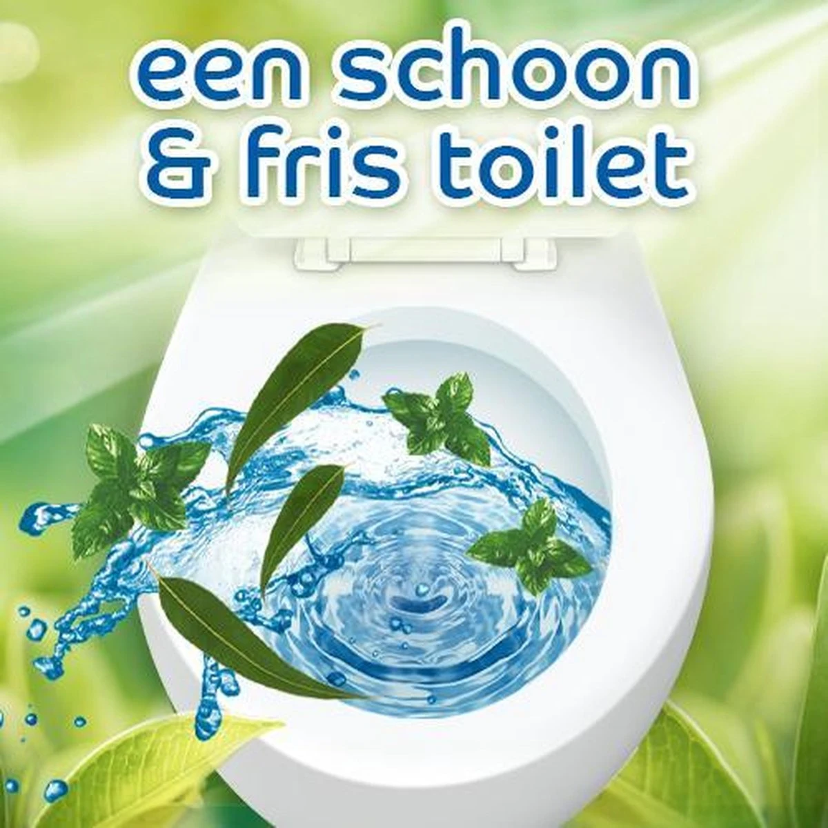 Witte Reus Pro Nature Munt Eucalyptus - 10 Stuks - Afbeelding 5