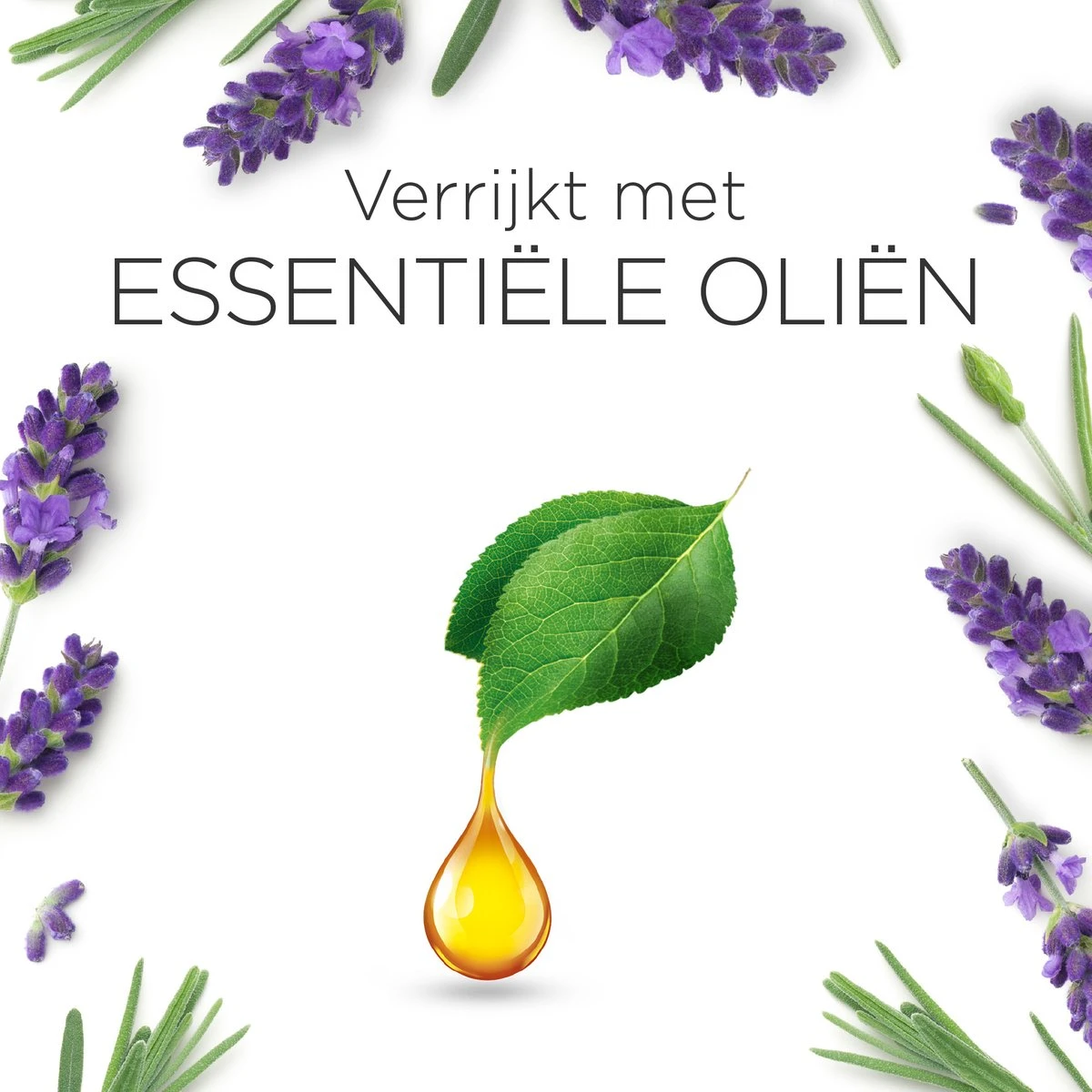 Air Wick Essential Mist Luchtverfrisser - Ontspannende Lavendel - 1 Zwart Apparaat + 2 Navullingen - Afbeelding 7